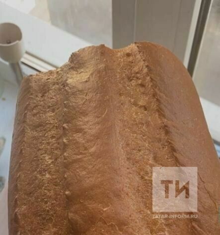 Камәрия Вафина «Ипи рәнҗеше»