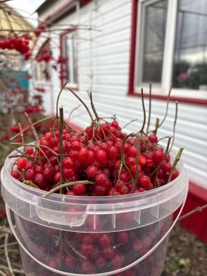 Қабырғадағы порно Үлкен саңылаулар үлкен ойыншықтарды ұрады