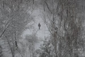 Үткәннәрдә “казынмагыз”: 10-16 декабрьгә йолдызнамә