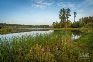 Табиблар биргән белешмәдә, батып үлгәннәр, дип акка кара белән язылган иде... (хикәя)