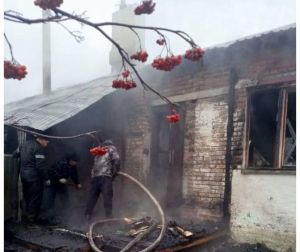 «Янып үлә дигән җиреннән, без Гүзәл апаны тәрәзәдән чыгардык...»