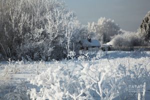 Сау бул, әнкәй...Тәмам күшеккән кыз карга тезләнде дә елап җибәрде