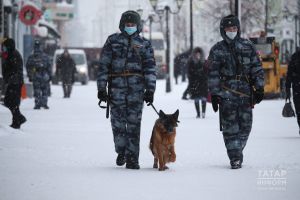 Мошенниклардан килгән атналык зыян 100 млн.га җитә