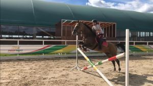 Ат спорты чемпион да ясый, дәвалый да ала