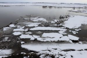 Халык синоптигы Рәис Шәкүров: “Быелгы яз да кычкыртачак әле...”