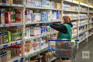 «Көндәлек кирәкле ризыклар – ипи белән сөт бәясен күреп шаккаттым...»