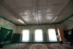 Имам-хатыйб җавап бирә: песи намазлыкка ятса ярыймы?