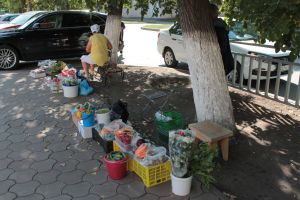 Үз бакчасындагы уңышны сату да авырмы? Базардагы әбиләрнең хәле