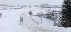 “Без утырткан каеннарны нигә кистеләр?” – Кенәбашта бәхәс