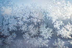 Хыял да нык нигезне ярата: 6-12 февральгә йолдызнамә