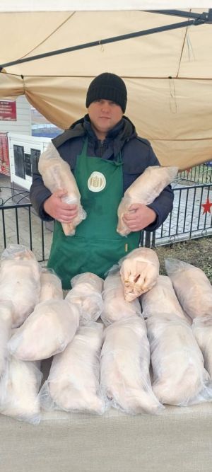 Каз асрап баеп буламы? Яңа Чишмә фермеры үз тәҗрибәсен сөйләде