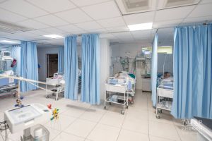 «Абзый яшелчә кебек булачак - яшәячәк, сулачак, тик хәрәкәтләнә алмаячак, башы да эшләмәячәк»