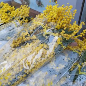 Ир-атларга: белгеч 8 мартка нинди чәчәкләр сайларга кирәклеген сөйләде