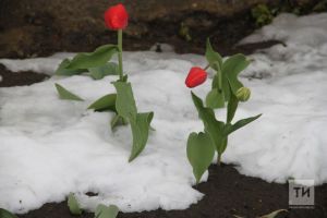 1-7 апрельгә йолдызнамә: авырлыклар сезне куркытмас