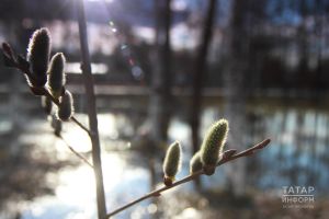 Ишек ябып чыгып китәсе килсә дә, тыелырга тырышыгыз: 10-16 апрельгә йолдызнамә