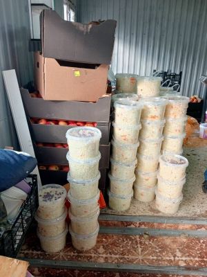 Кәбестә – витаминнар хәзинәсе: өйдә маринадлау сере