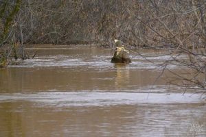 Язгы ташуның яме китте, авыл елады...