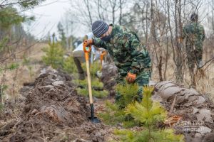 Агач утырткан кешеләргә яфраклар рәхмәт укый