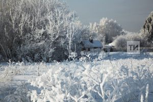 Улларым өшегән, ирем асылынган...
