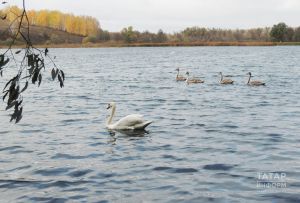 Алданмаска тырышыгыз: 24-30 апрельгә йолдызнамә