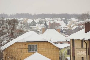 Күрше биек койма корса, сүттереп буламы?