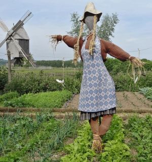 Карачкы калфагы (юмореска)