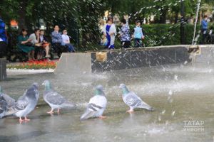 Картайган көнемдә ялгыз калырмын микәнни?