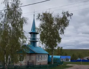 Ни өчен төшенкелек “шайтан котыртуы” дип атала? Имам җавап бирә