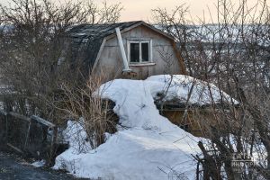 Помидор, борыч, бакалажанны теплицага кайчан утыртырга?