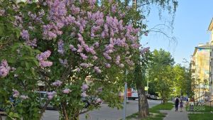 20-26 майга йолдызнамә: бу атнада кайсы билгеләргә сак булырга кирәк?