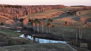 “Безне бакча белән урман коткарды...” — алты балалы гаилә язмышы
