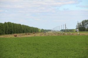 «Шактый кешенең арт бакчасында чабып салган печәннәре әрәм булды»