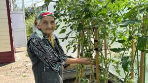 Апаста яшәүче Мәрьям апа 90 яшендә дә бакчасын үстерә