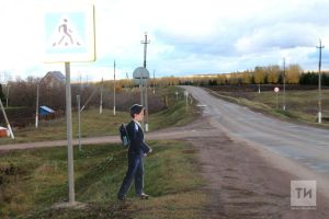 Балалар күренсә, тизлекне киметү хәерле