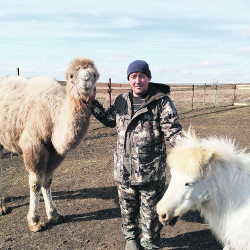 Шәңгәлче уңганнары: дөяне Чувашстаннан 100 мең сумга кайтартканнар