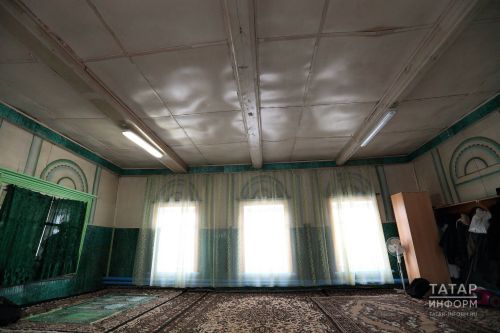 Имам-хатыйб җавап бирә: песи намазлыкка ятса ярыймы?