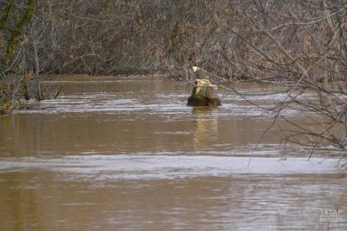 Язгы ташуның яме китте, авыл елады...