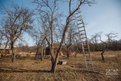 Язгы мәшәкатьләр: кемнәр ниләр эшли?