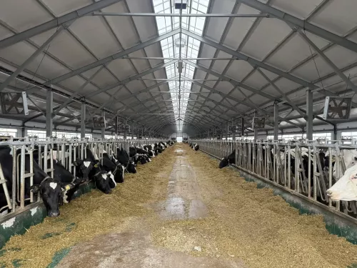 «Алан» хуҗалыгы: терлекчелек тә, өмет тә, яңарыш та