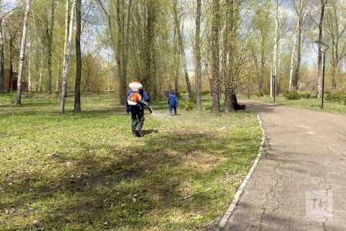 Казанда яр буйларына химик агулау үткәреләчәк